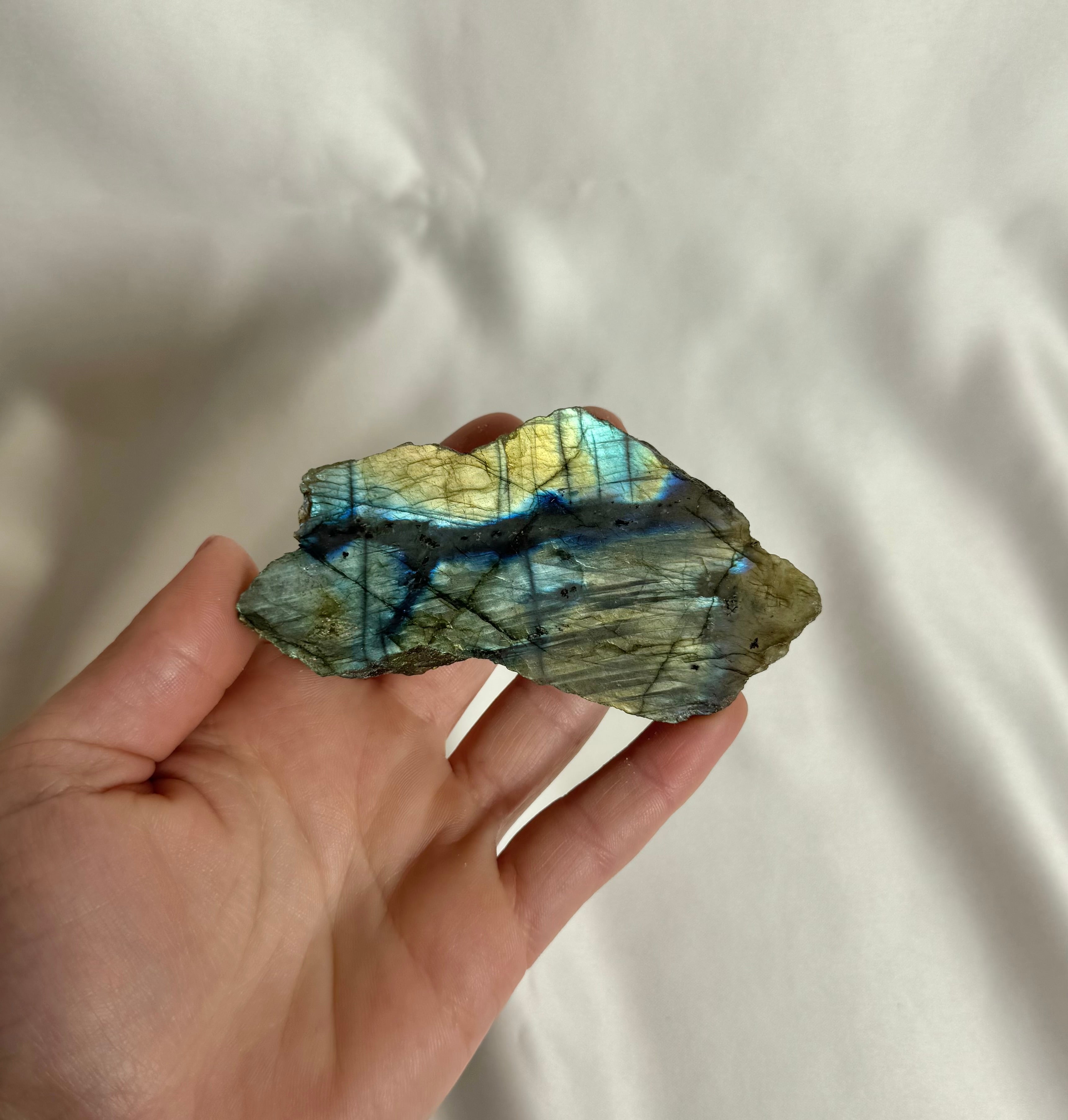 Labradoriet Ruw Nr. 361