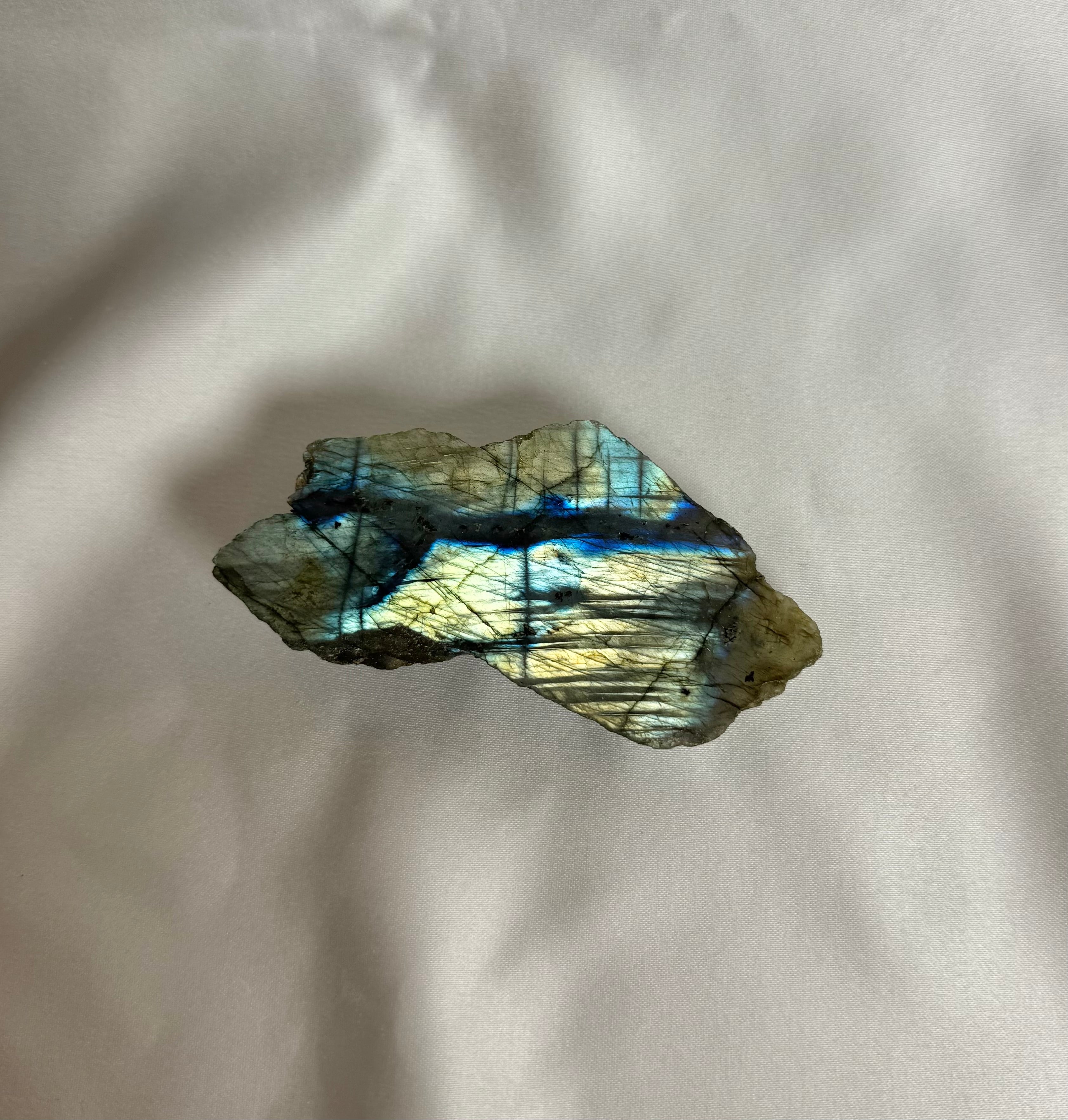 Labradoriet Ruw Nr. 361