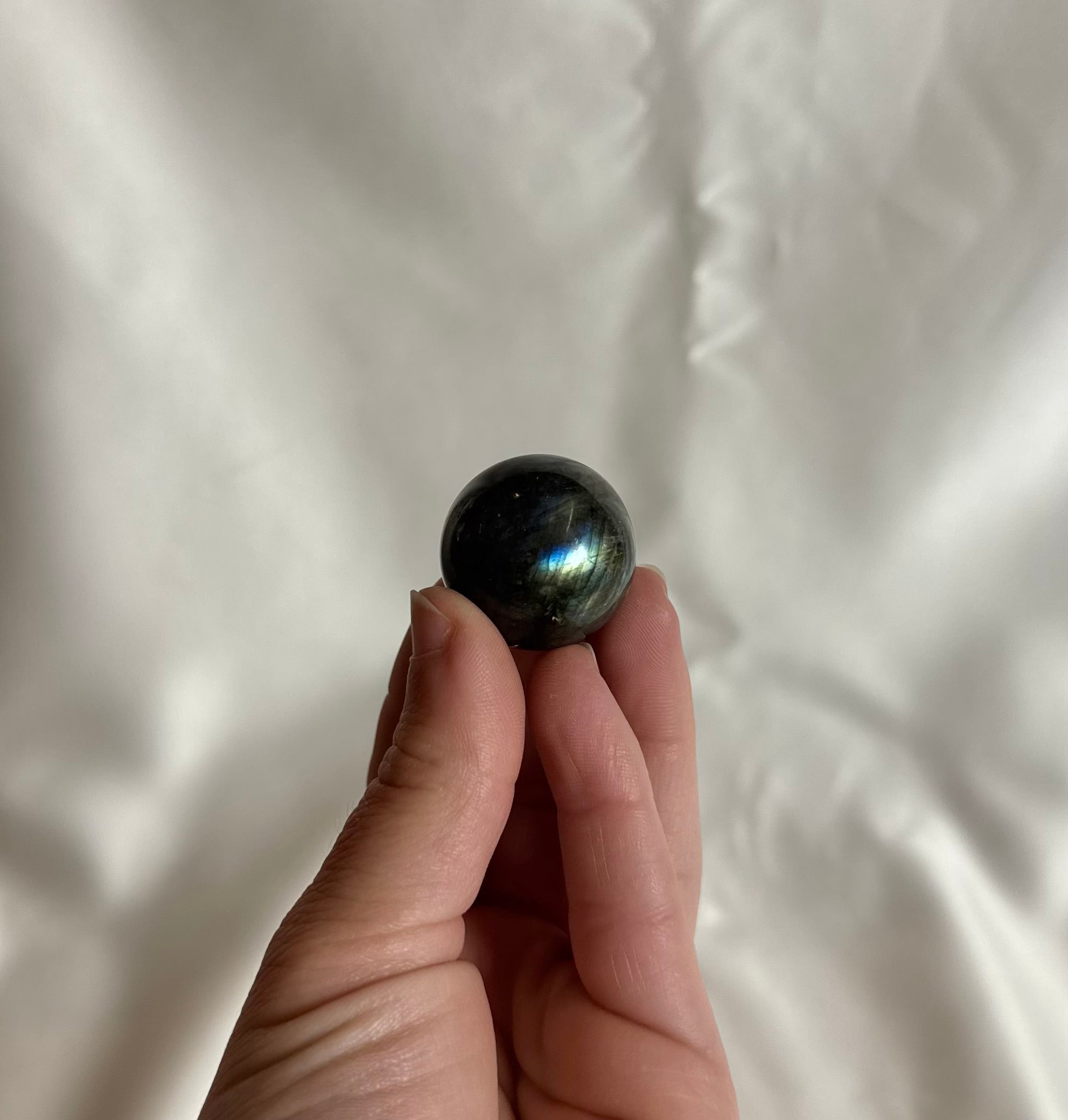 Labradoriet Bolletje