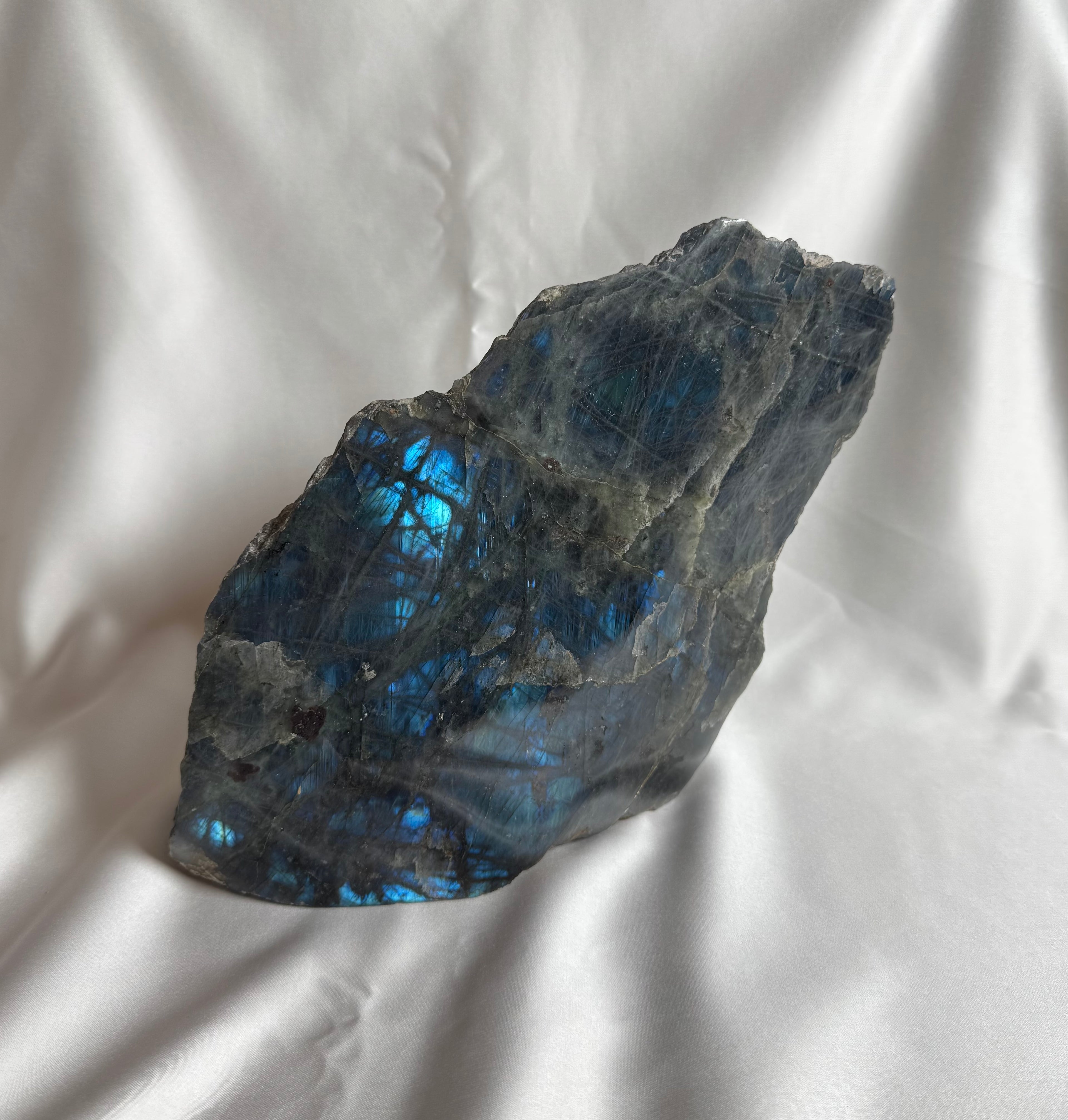 Labradoriet Ruw Nr. 382