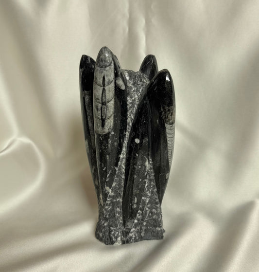 Orthoceras Fossiel Nr. 383