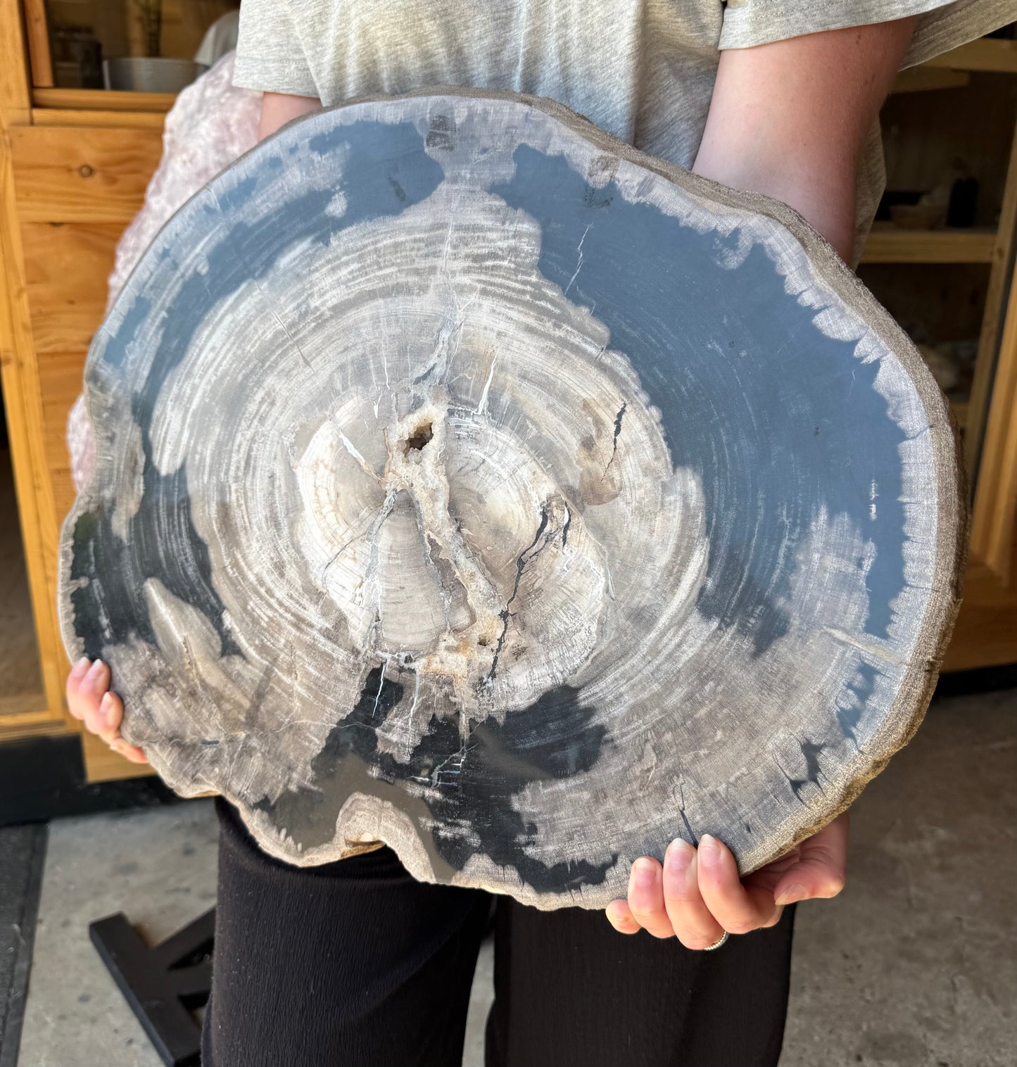 Versteend Hout 17 KG