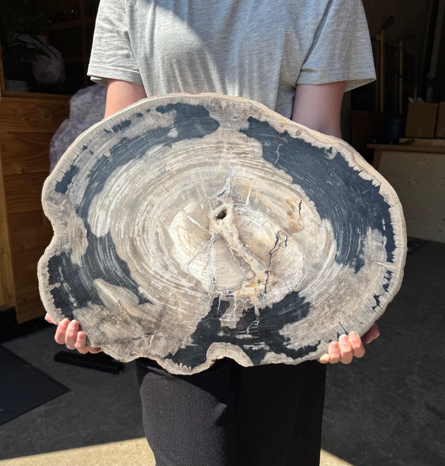 Versteend Hout 17 KG