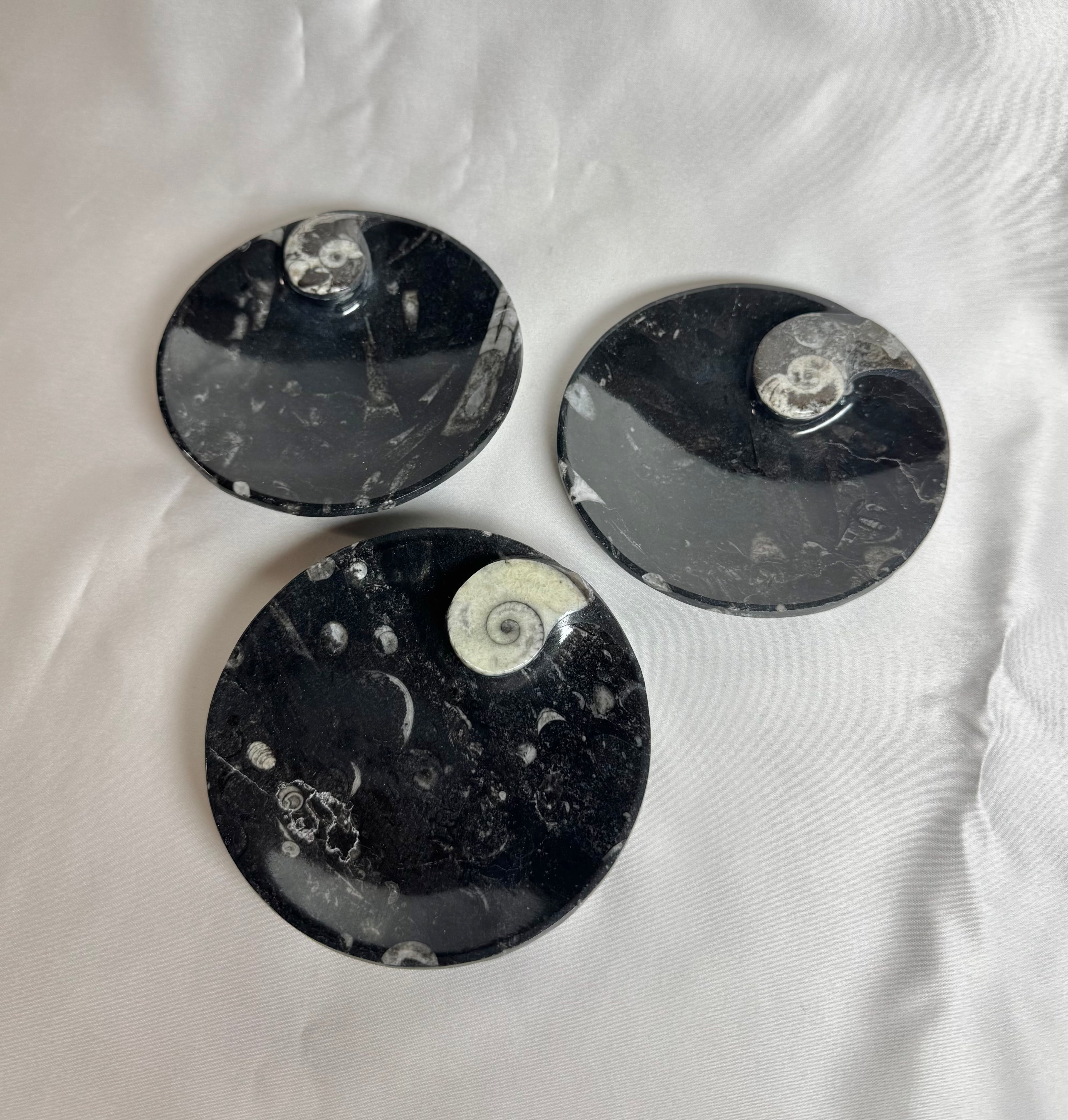 Orthoceras Fossiel Schaaltje