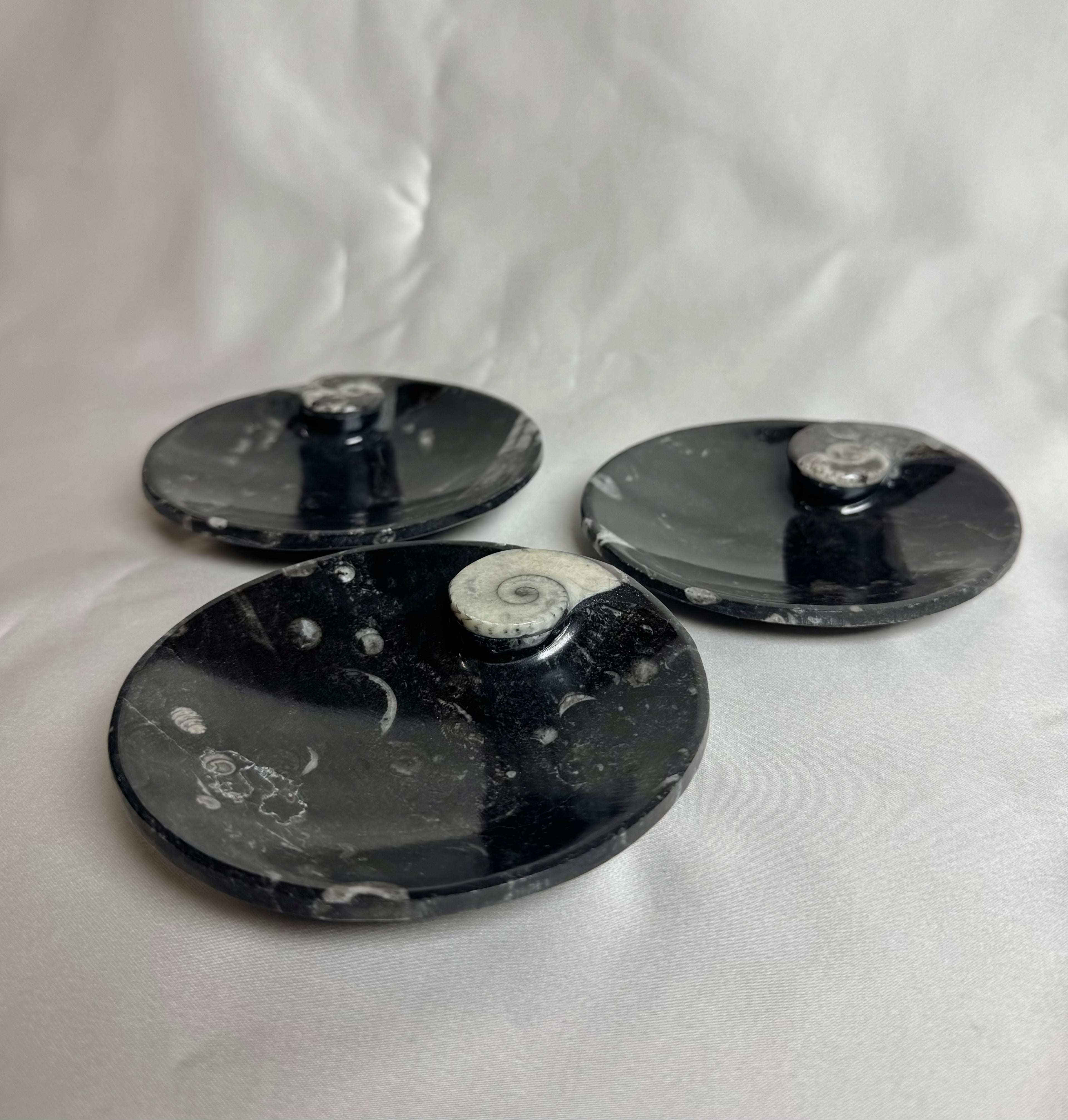 Orthoceras Fossiel Schaaltje