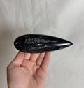 Orthoceras Fossiel Nr. 461