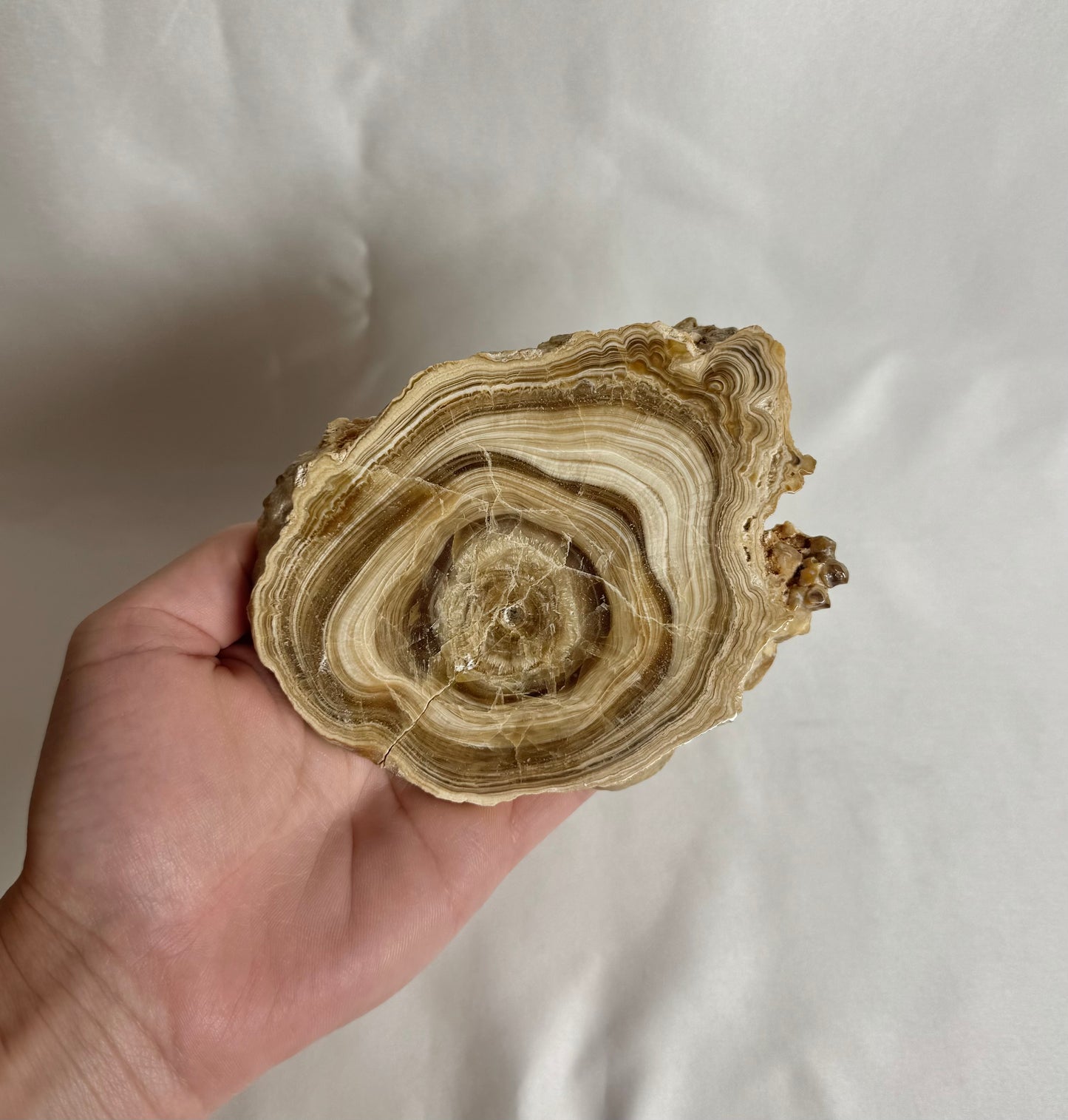 Cave Calciet Nr. 476