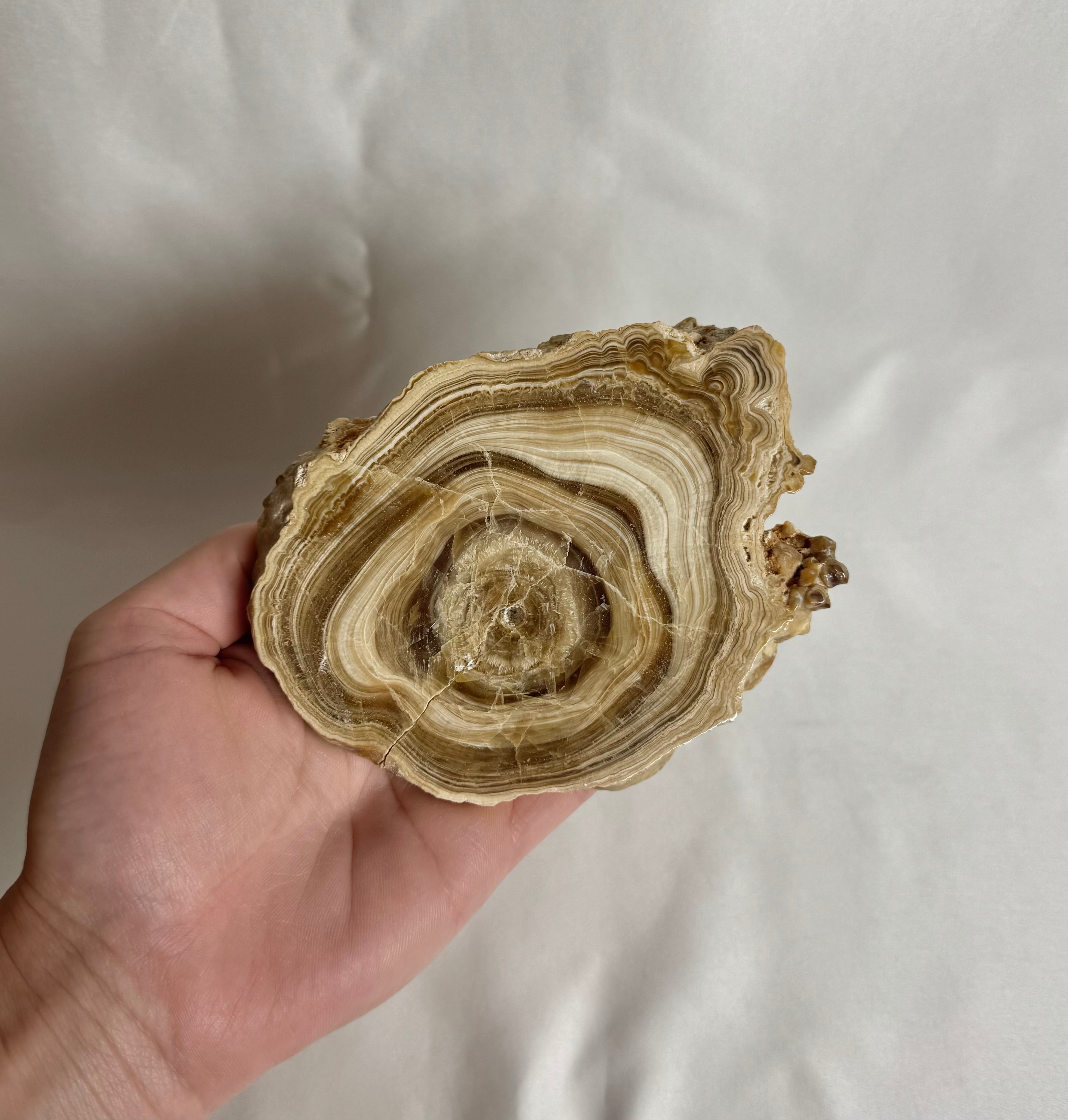 Cave Calciet Nr. 476
