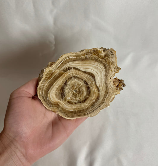 Cave Calciet Nr. 476