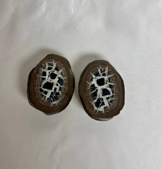 Septarie Paar