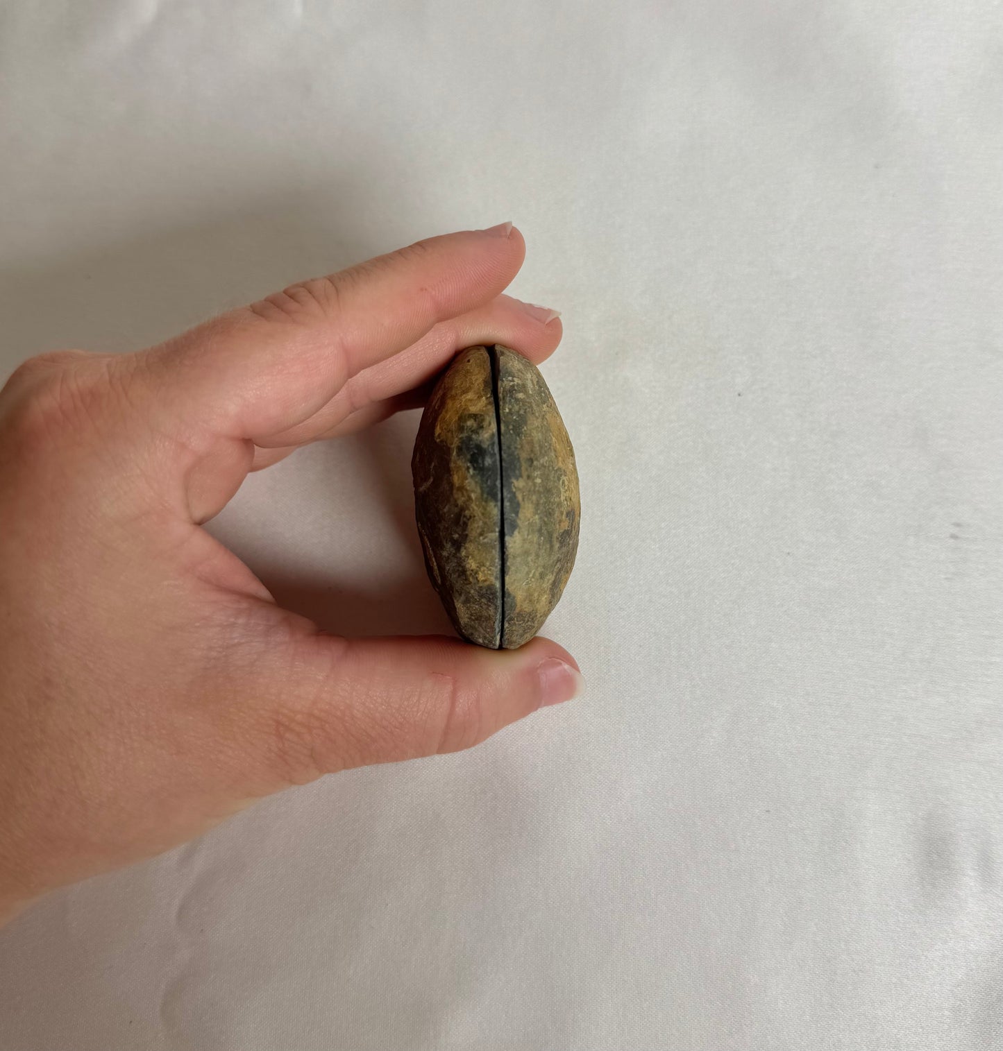 Septarie Paar