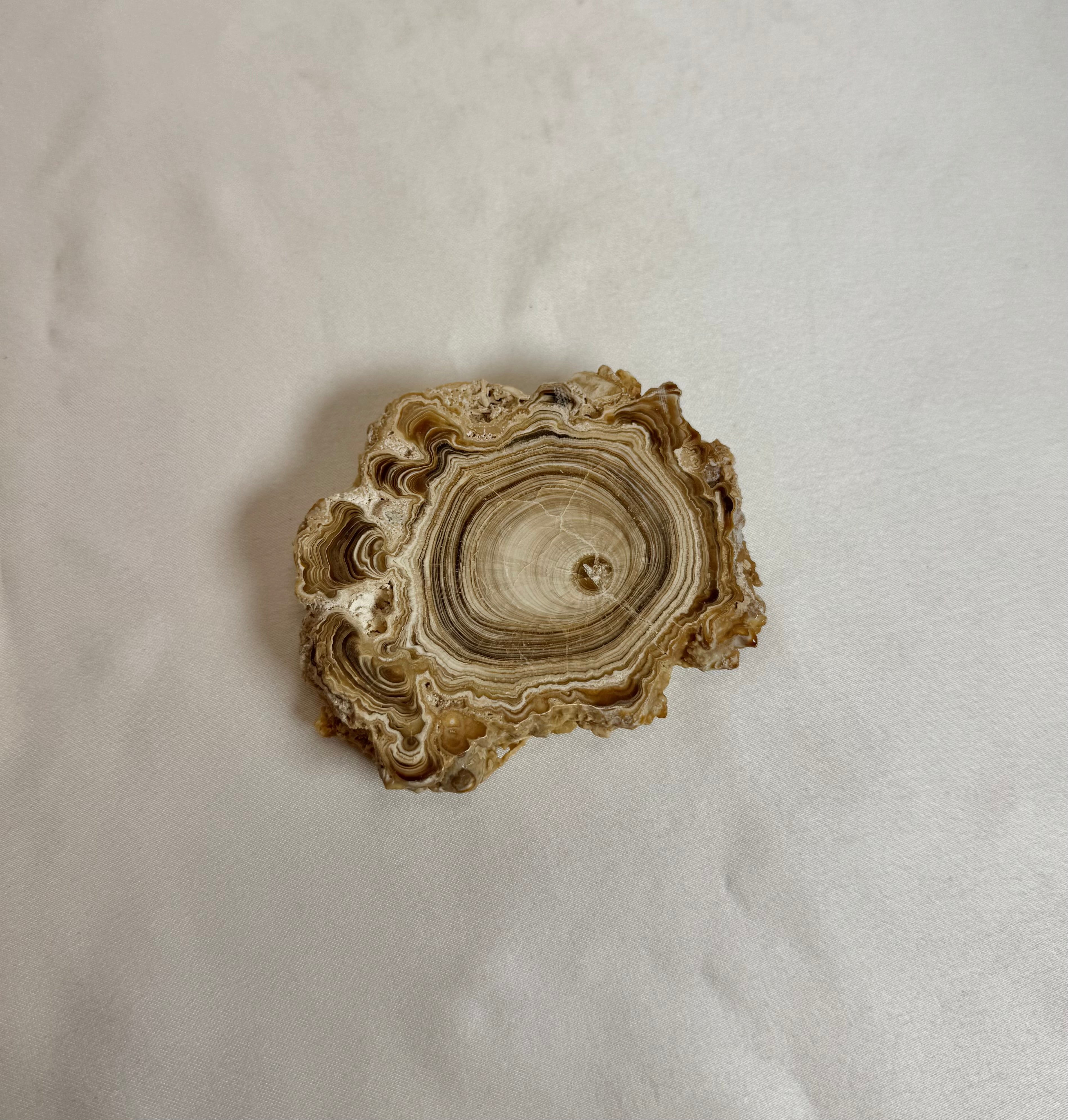 Cave Calciet Nr. 503