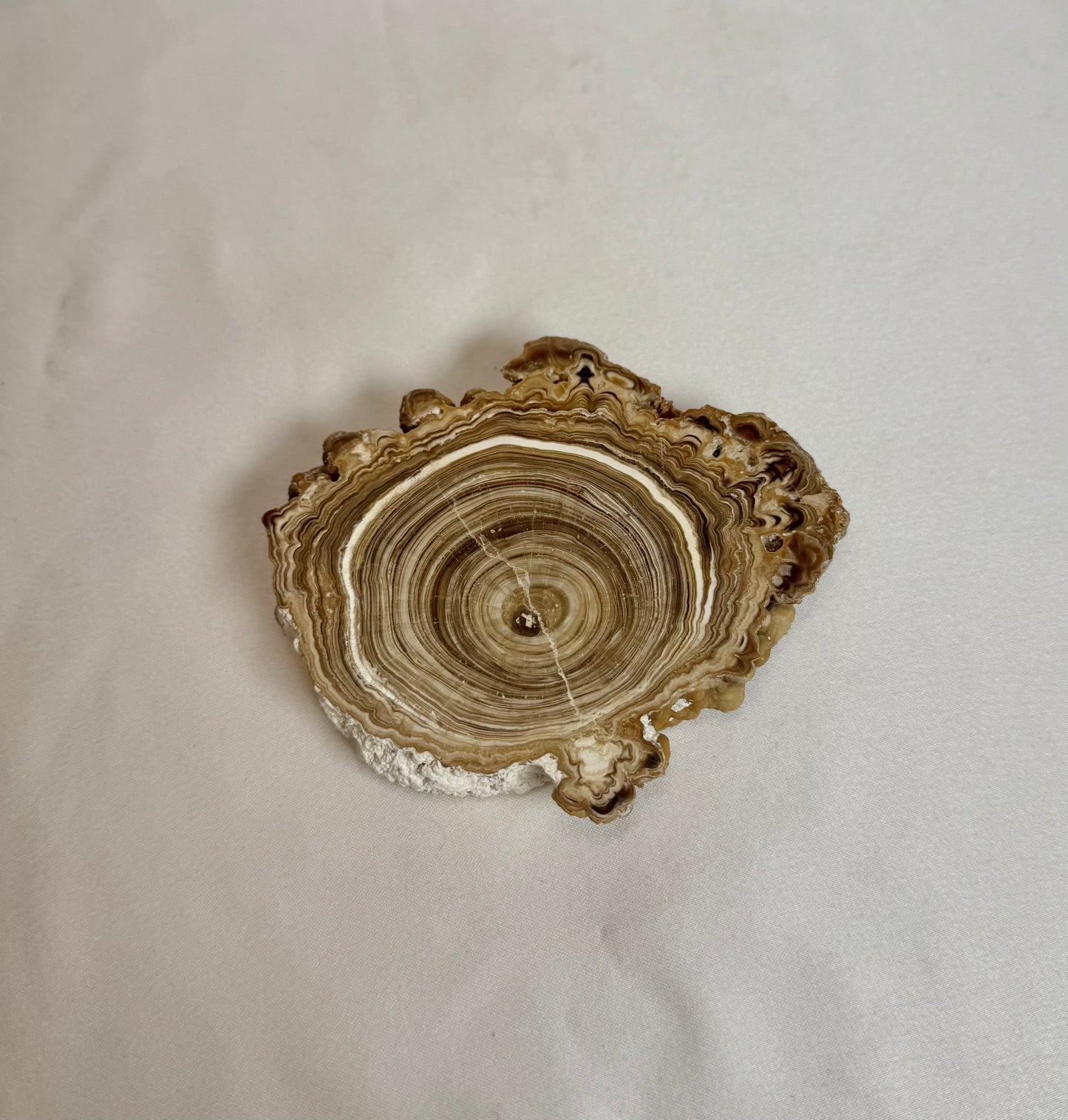 Cave Calciet Nr. 508